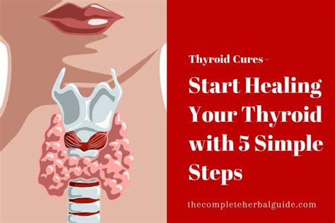 Start Healing Your Thyroid With 5 Simple Steps