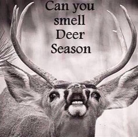 Deer Hunting Quotes And Sayings
