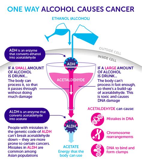 But for women with breast cancer, it can be an especially difficult emotional challenge. How does alcohol cause cancer? - Cancer Research UK ...