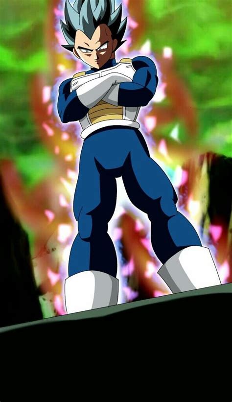 Vegeta Ultra Instinto Universo 7 Dragon Ball Dragon Ball Z Vegeta