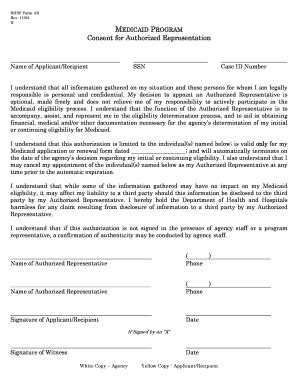 Fillable Online Dhh Louisiana Authroized Representative Form