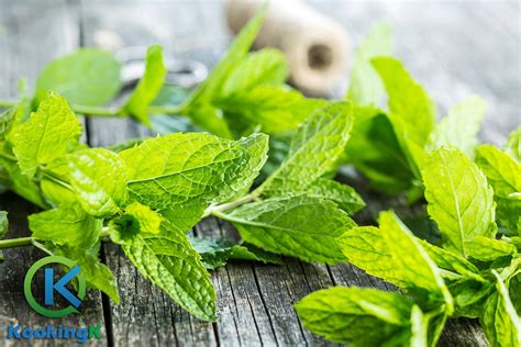 5 Proven Health Benefits Of Mint Leaves