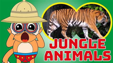 Jungle Animals Names And Sounds For Kids Jungle Facts