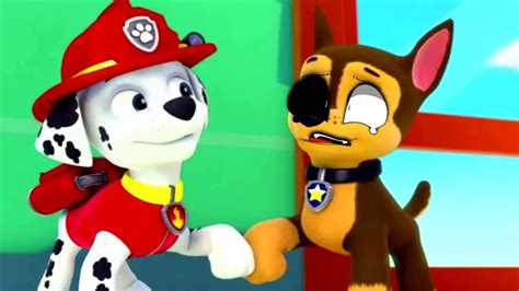 Monsters How Should I Feel Meme Paw Patrol Full Episode Chase And