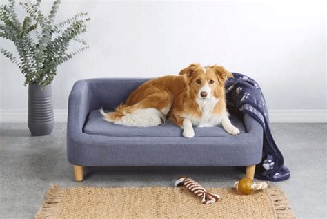 1.8 out of 5 stars from 27 genuine reviews on australia's largest opinion site productreview.com.au. Aldi Releases Mini Sofa Beds For Dogs | Cesar's Way