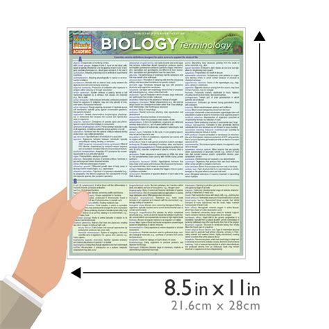 Quickstudy Biology Terminology Laminated Study Guide 9781423221517