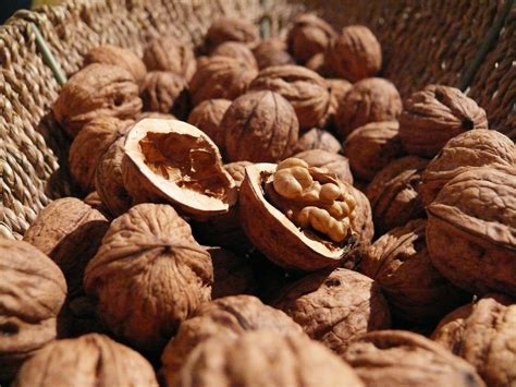 Free Images Food Produce Brown Nut Healthy Eat Shell Walnut