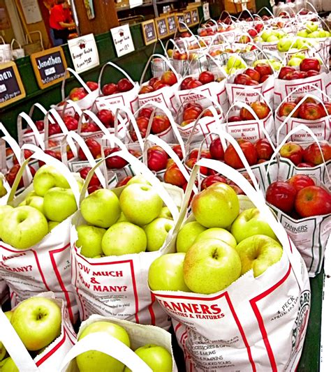 Fall Apple Harvest At Tanners Orchard In Speer Illinois Apple