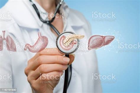 El Concepto De Diagnóstico De Órganos Internos Foto De Stock Y Más