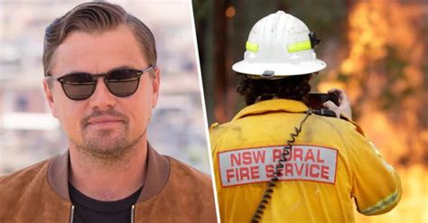 Leonardo Dicaprio Donará 3 Millones De Dólares Para Los Incendios Forestales De Australia