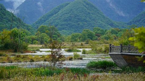 Glance Of Wetlands In Central Chinas National Park Cgtn