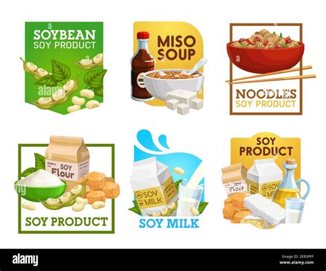 Los Alimentos De Soja Y Los Productos De Soja Vectores Iconos Sopa