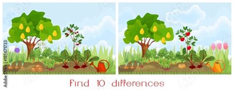 Find Ten Differences Visual Pictures A Game For Children Garden In