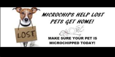 Middletown Animal Hospital Veterinarian In Middletown Ca Us