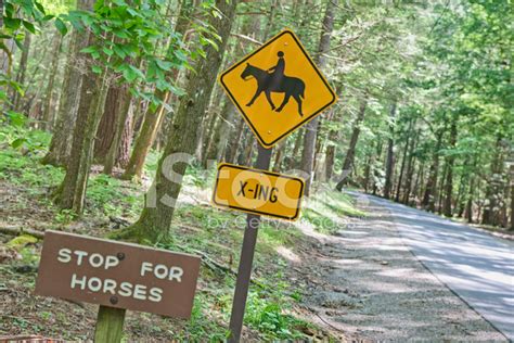 Horse Crossing Road Sign Stock Photo Royalty Free Freeimages