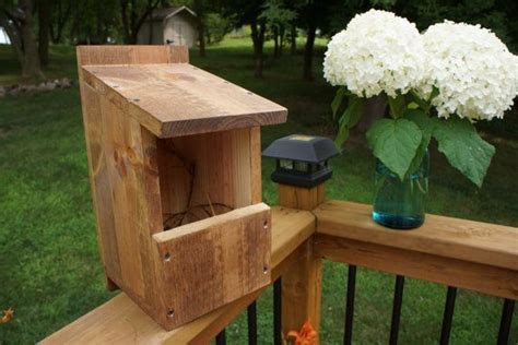 Rinse thoroughly and let dry. Robin Cardinal Box - Bird House | Bird house kits, Bird ...