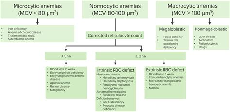 Different Types Of Anemia Chart Abnormal Erythrocytes Anemia Ijser Morphologic