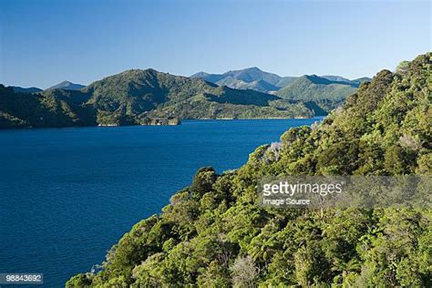 New Zealand Queen Charlotte Sound Photos And Premium High Res Pictures