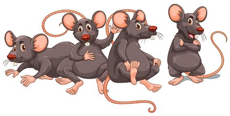 Four Rats With Gray Fur 373359 Vector Art At Vecteezy