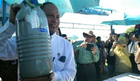 Kaos sapi 1 ton, kaos sapi raksasa, kaos sapi super. Enrekang Menjadi Lokasi Techno Park Sapi Raksasa