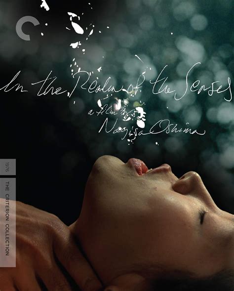 In The Realm Of The Senses Criterion Collection USA Blu Ray Amazon Es Tatsuya Fuji Eiko