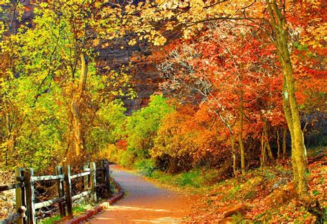 Autumn Tunnel Tunnel Awesome Graphy Colors Nice Track Trail
