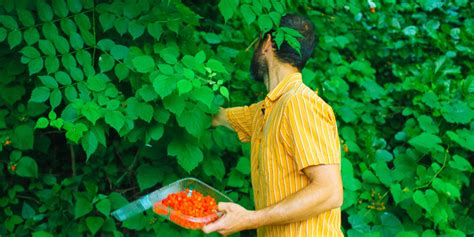 Professional Foragers Live The Most Beautiful Lives Huffpost