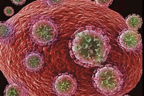 Learn the basics of hiv and aids, including how to prevent hiv transmission, get tested, start treatment, and live a healthy life with hiv. Estudo da USP usa planta para matar células infectadas com ...