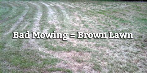 Mowing And Watering Tips To Avoid A Brown Lawn Blog Spring Green