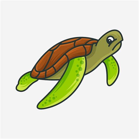 Premium Vector Turtle Vector Illustration