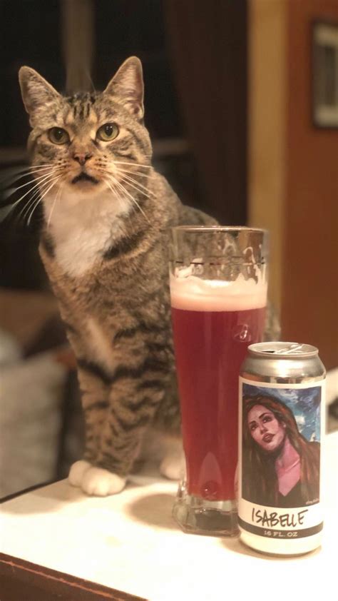Pin De James Retling En Beer Cats Gatos