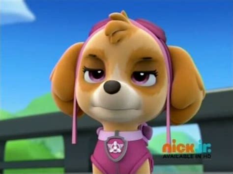Chase X Sweetie Paw Patrol Chase Is The Case Wattpad