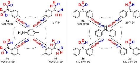 Controllable D Labeled N Methylation Of Primary And Secondary Amines Y Download Scientific