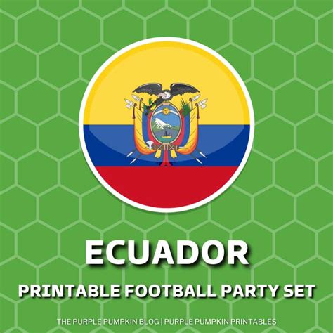printable ecuador football party set world cup