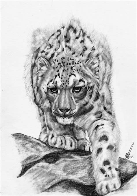 Prowl On Deviantart Leopard
