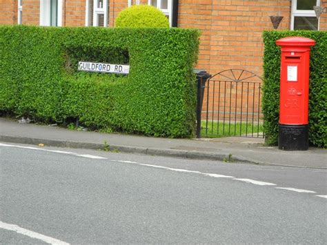 Hedge And Royal Mail Post Garden Fencing Outdoor Decor Hedges