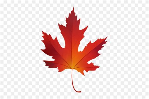 Autumn Maple Leaf Png Clip Art Maple Tree Png Flyclipart