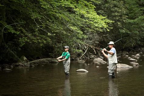 Cast A Line In The Great Smoky Mountains Gatlinburg Tn Fishing