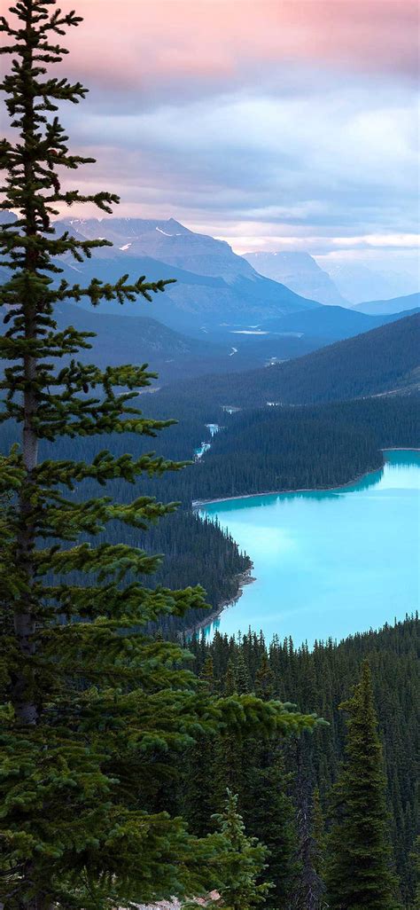 Iphone Pro Peyto Lake Canada Mountains Nature Iphone Iphone Canada