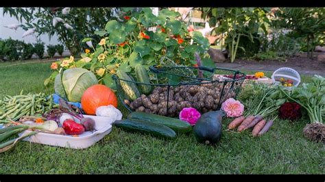 Vegetable Gardening Zone 10a Youtube