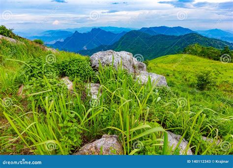 Landscape Scene From The Peak Of Mountain And Mist At Phu Chi Fa Close