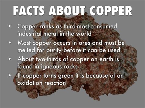 Facts About Copper Live Science Hot Sex Picture