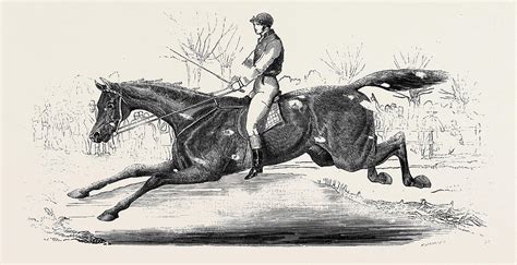 The Harrow Steeple Chase Drawing By English School