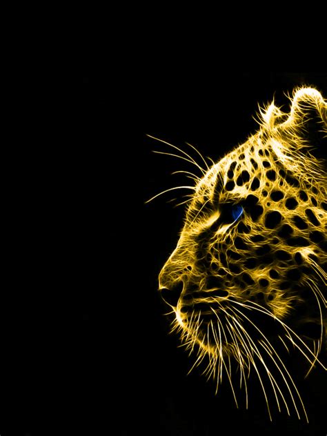 Black and white wallpaper rose gold wallpapers. Free download animals gold spirit leopards black ...