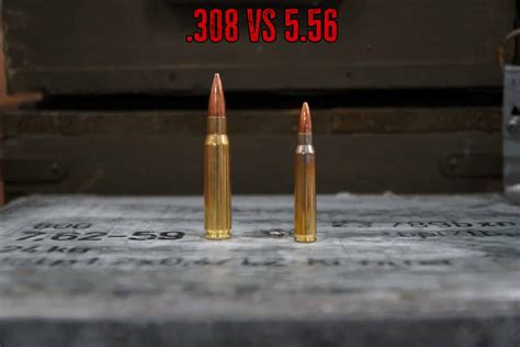 308 Vs 556 Comparison True Shot Gun Club