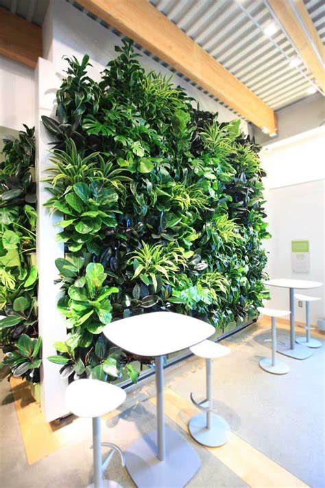 Showcase View Livewall Green Wall System Vertical Garden Indoor