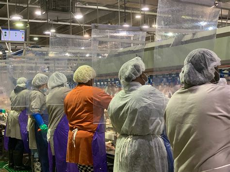 A typical sick pay scheme usually starts after a minimum period of service, for example, a proof of sickness required by your employer. More than 2,200 U.S. meat packing employees sick, 17 dead ...