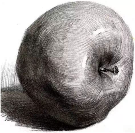| 绘画基础 | 彩铅 | 简笔画 | 插画板绘 | 素描 | 国画 | 更多画种. 畫畫教程：素描畫蘋果的技巧