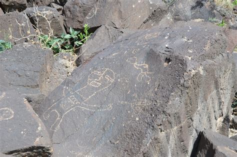 Petroglyph National Monument Photo