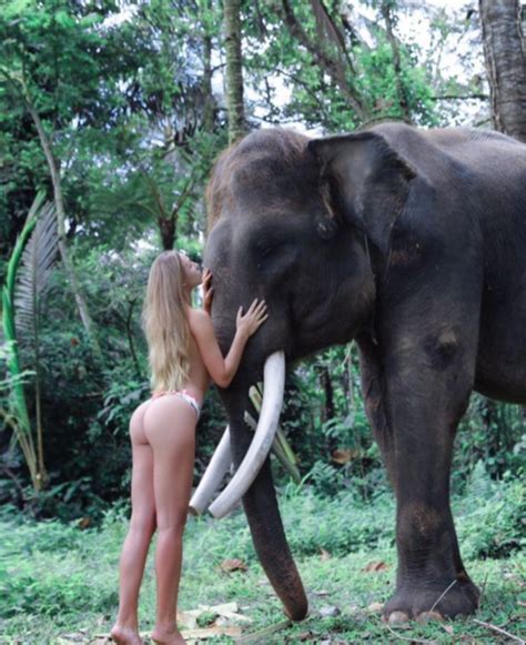 Model Slammed For Posing Naked On Top Of An Elephant